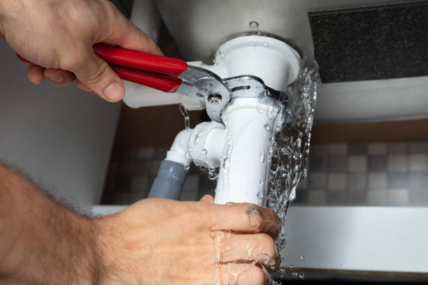 Best Sewage cleanup and water damage restoration  in Belmont, PA