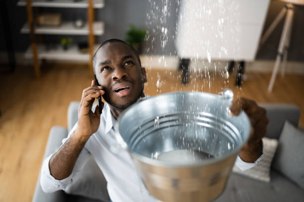 Best Mold removal after water damage  in Belmont, PA