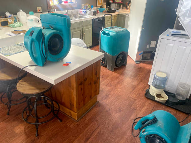  Belmont, PA Water damage restoration Pros