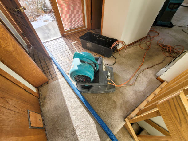 Best Water damage restoration near me  in Belmont, PA