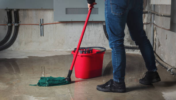 Best Water damage contractors near me  in Belmont, PA