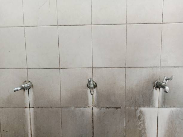 Best Flood damage cleanup  in Belmont, PA