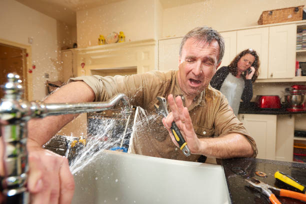 Best Water damage mitigation services  in Belmont, PA